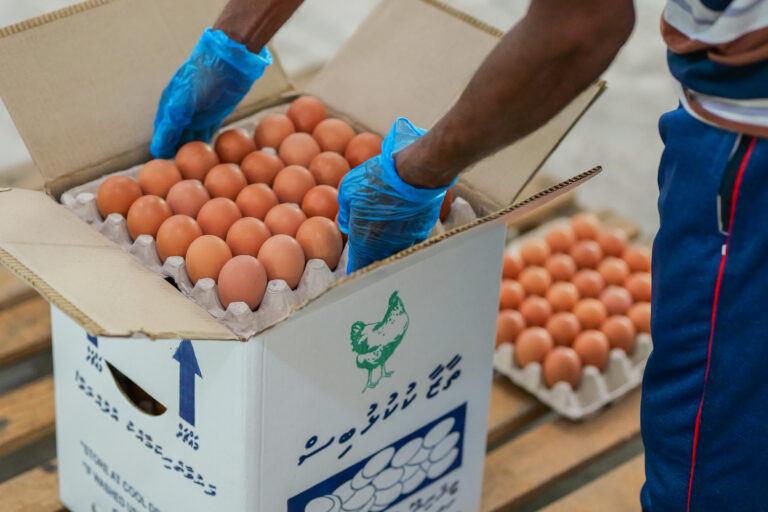 CLEAN AND PACKING (2)